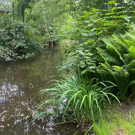 Πανσιόν Alte Wassermuehle 3*