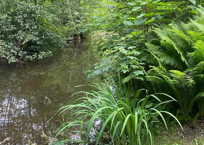 Gæstehus Alte Wassermuehle 3*